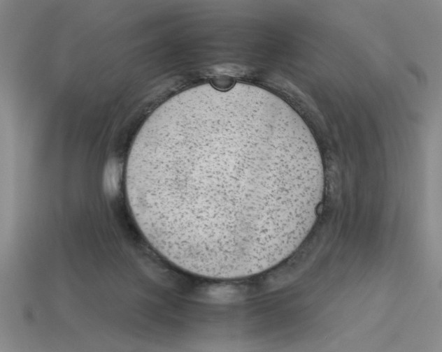 X0000114190075200911061412