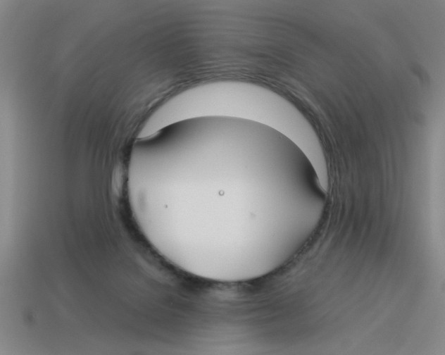 X0000114190076200911061412