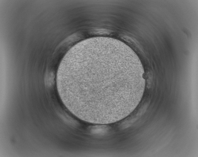 X0000114190077200911061412