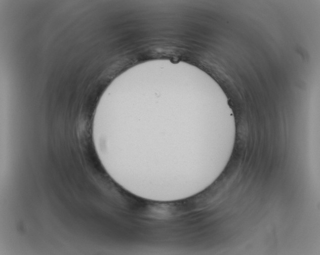 X0000114190079200911061412