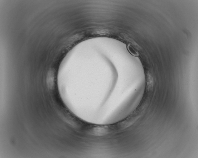 X0000114190080200911061412