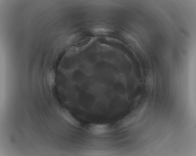 X0000114190081200911061412