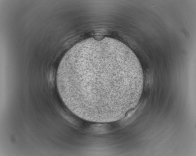 X0000114190082200911061412