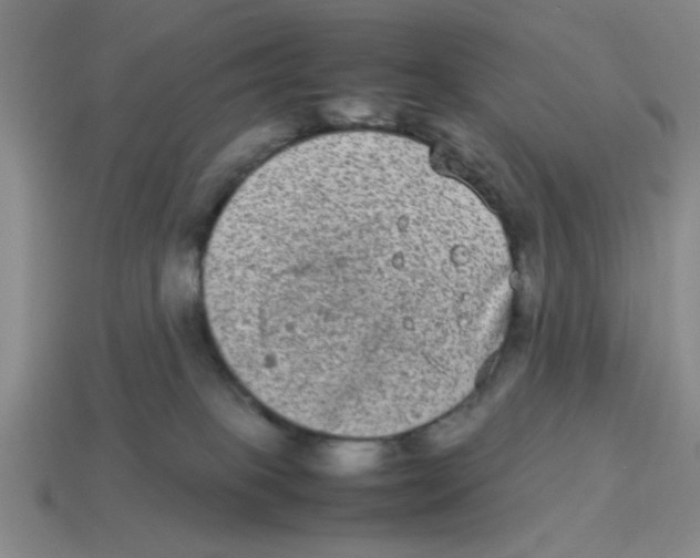 X0000114190085200911061412