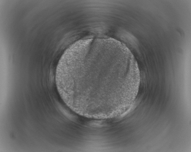 X0000114190086200911061412