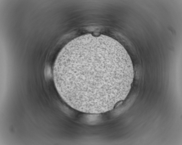 X0000114190089200911061412