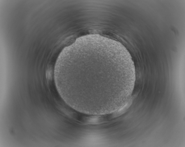 X0000114190090200911061412