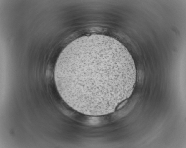 X0000114190091200911061412