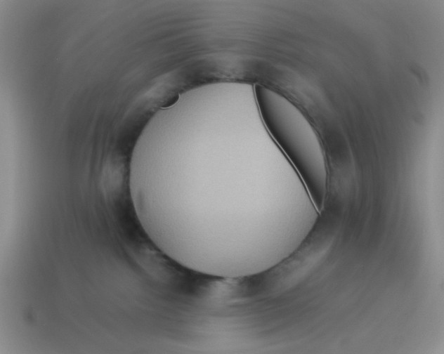 X0000114190092200911061412