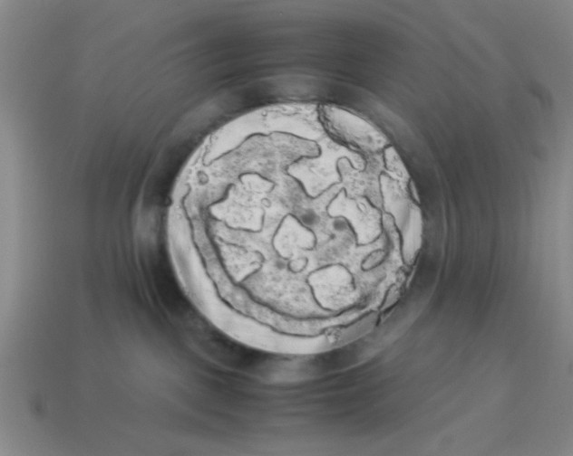 X0000114190093200911061412