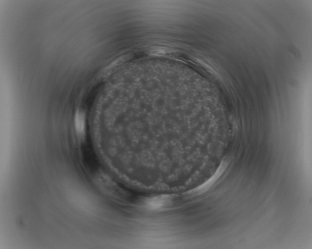 X0000114190094200911061412