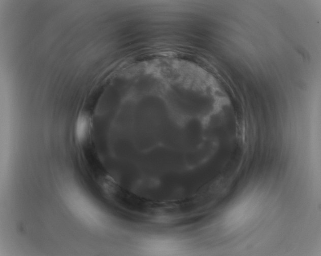 X0000114190095200911061412