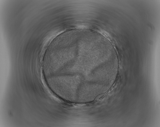 X0000114190097200911061411