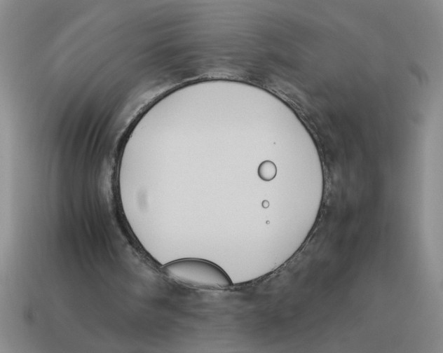 X0000114190098200911061411