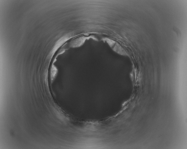 X0000114190099200911061411