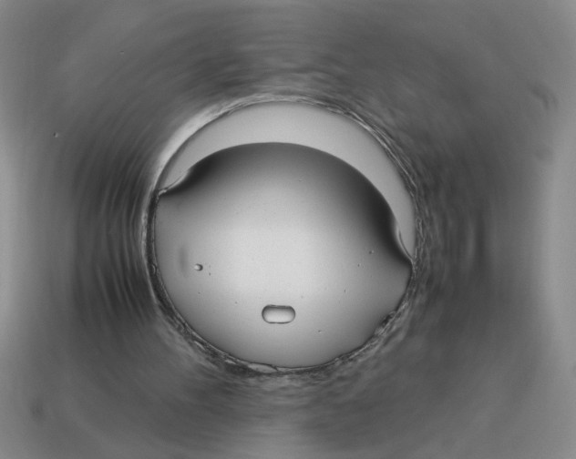 X0000114190100200911061411