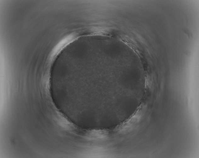 X0000114190101200911061411