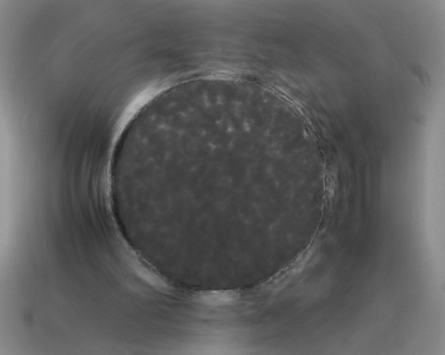 X0000114190102200911061411