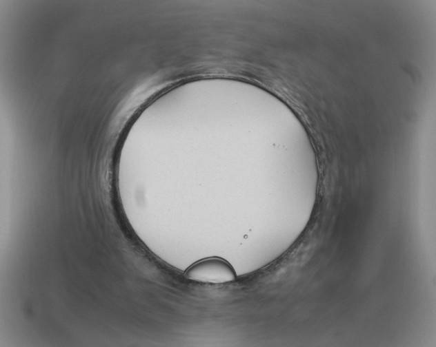 X0000114190103200911061411