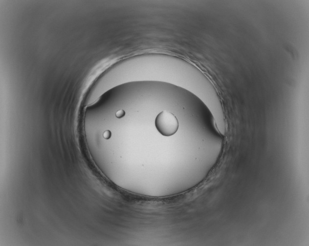 X0000114190104200911061411