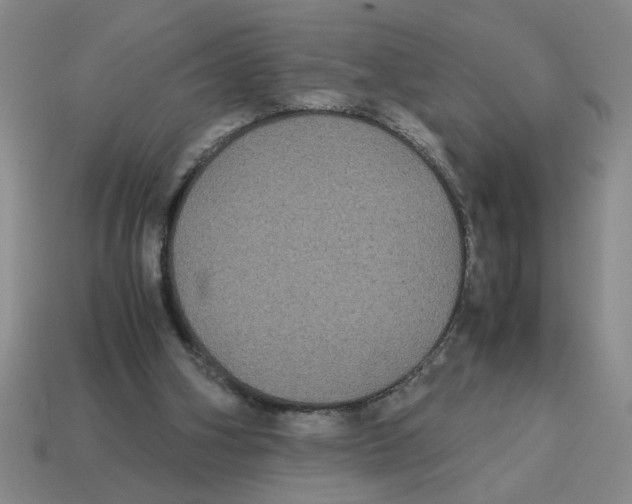 X0000114190106200911061411