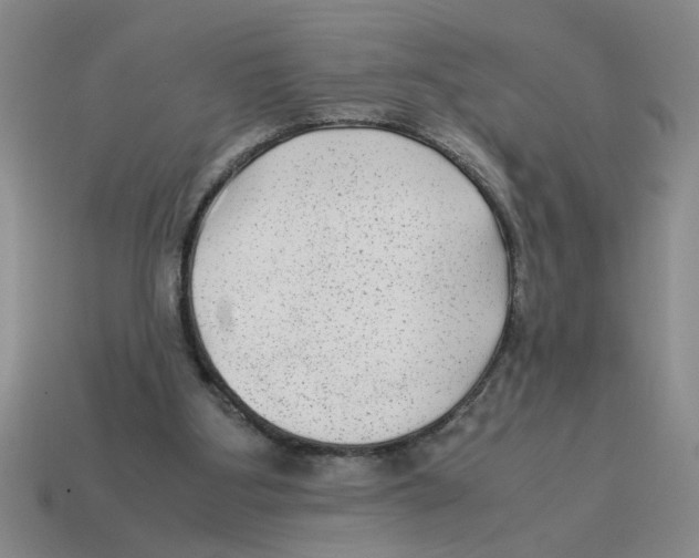 X0000114190107200911061411