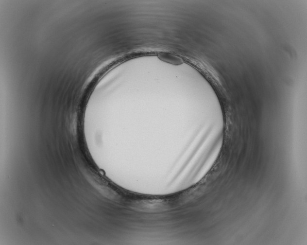 X0000114190108200911061411