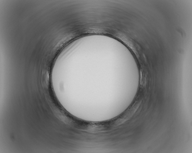 X0000114190109200911061411