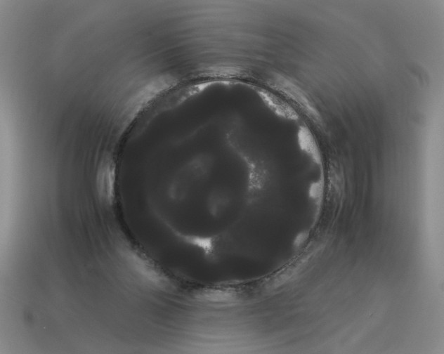 X0000114190110200911061411