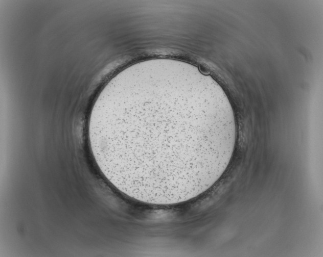 X0000114190111200911061411