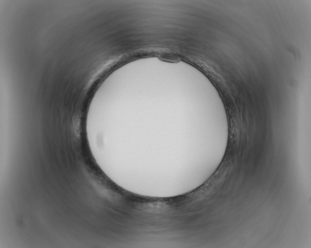 X0000114190112200911061411