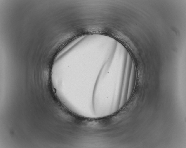 X0000114190113200911061411