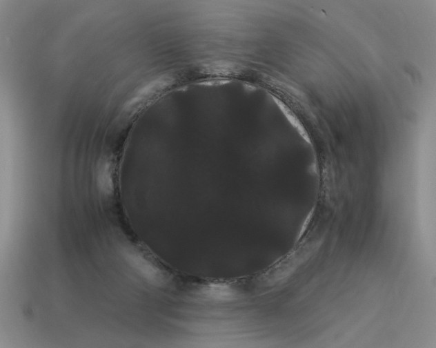 X0000114190114200911061411