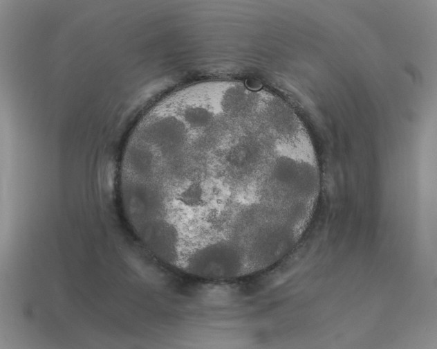 X0000114190115200911061411