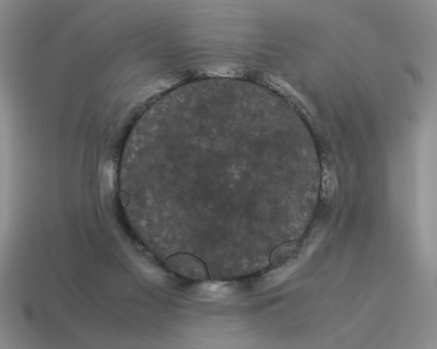 X0000114190117200911061411