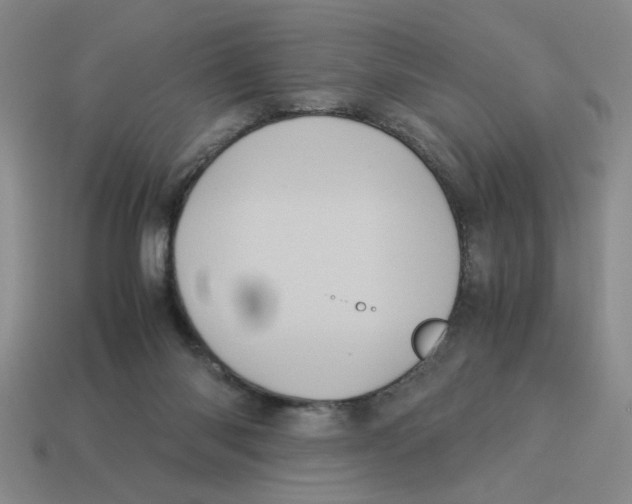 X0000114190118200911061411