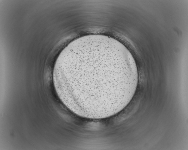 X0000114190119200911061411