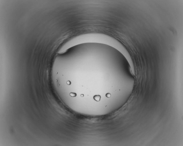 X0000114190120200911061411