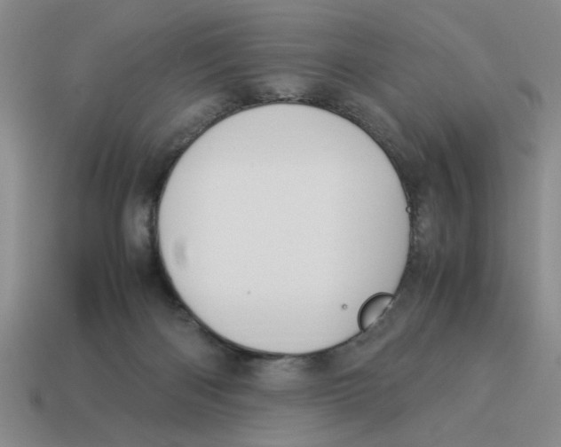 X0000114190122200911061411