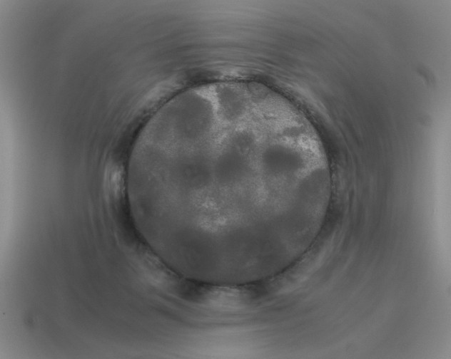 X0000114190123200911061411