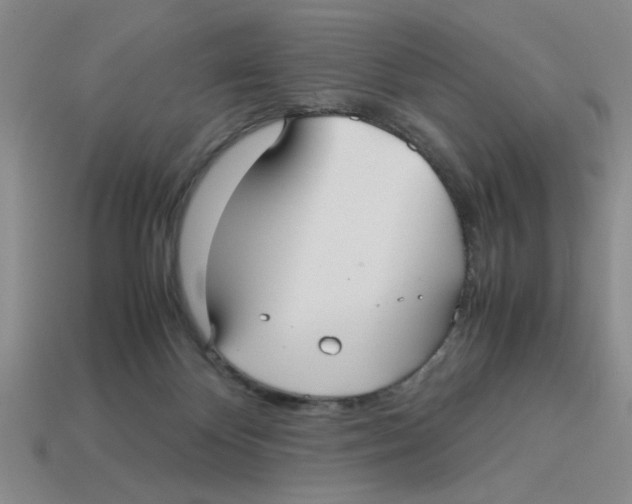 X0000114190124200911061411