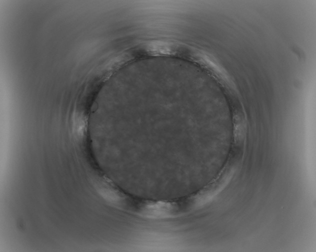 X0000114190125200911061411