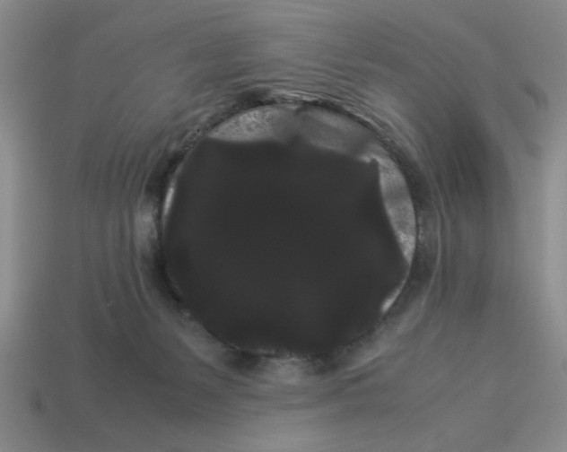 X0000114190127200911061411