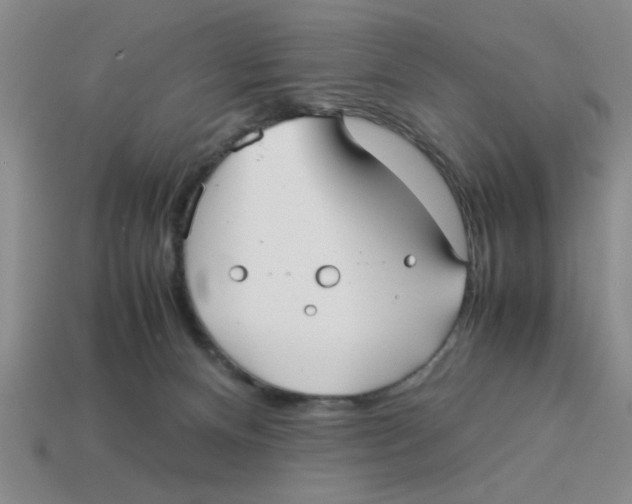 X0000114190128200911061411