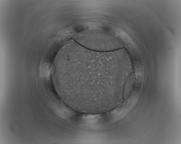 X0000114190129200911061411