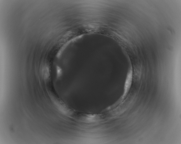 X0000114190130200911061411