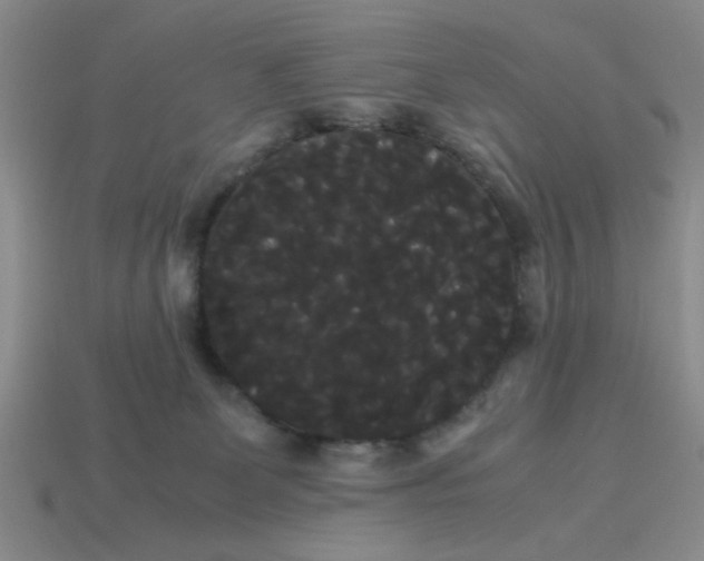 X0000114190131200911061411