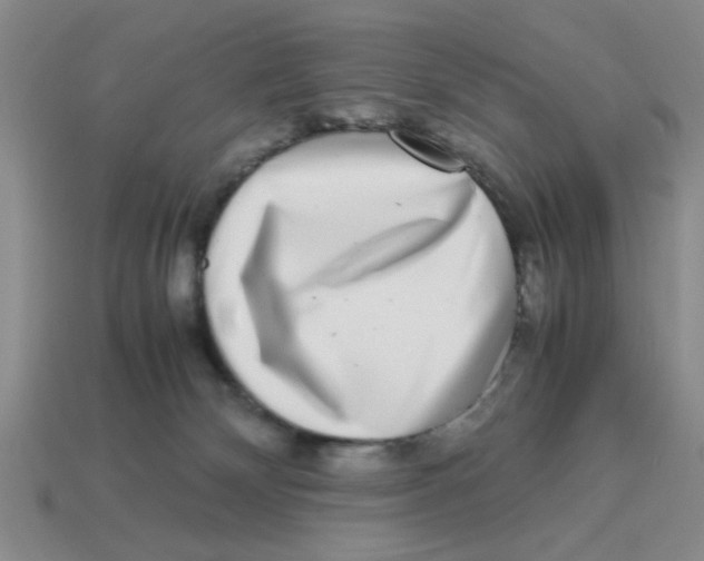 X0000114190132200911061411