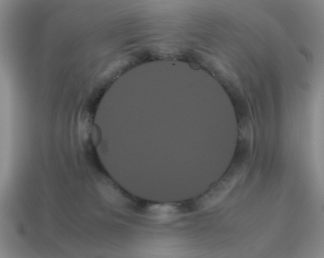 X0000114190133200911061411