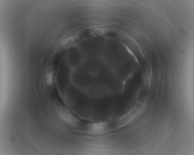 X0000114190134200911061411